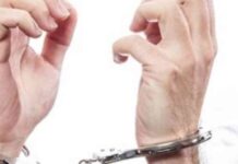 كيف يتعامل القانون مع جريمة التزوير؟ – دليل العقوبات في مصر