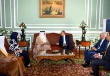 أهمية التنسيق العربي المستمر: مصر والبحرين تشددان على أهميته