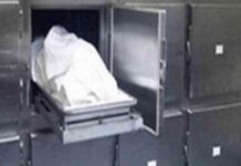 جريمة قتل شاب لشقيقته بسبب الغيرة: التحقيقات تكشف اضطرابات نفسية