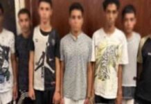 اعتداء وحشى على كلب في المعادى: متهمون يبررون بـ مصاب بالسعار