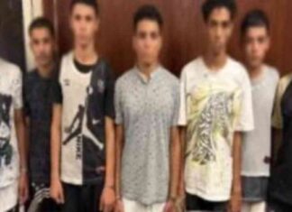 اعتداء وحشى على كلب في المعادى: متهمون يبررون بـ مصاب بالسعار