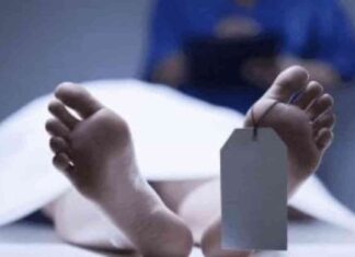 وفاة طبيبة علاج طبيعى بسبب حادث سير ببنى سويف