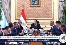 إنشاء مصنع لإنتاج مكونات الطاقة المتجددة بالعين السخنة: مدبولي يبحث مع شركة صن ريف سولار الصينية