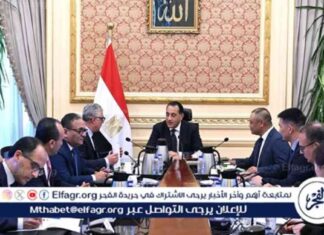 إنشاء مصنع لإنتاج مكونات الطاقة المتجددة بالعين السخنة: مدبولي يبحث مع شركة صن ريف سولار الصينية