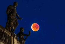 حقائق وأساطير جنون الحيوانات والمستذئبين ترتبط بالقمر