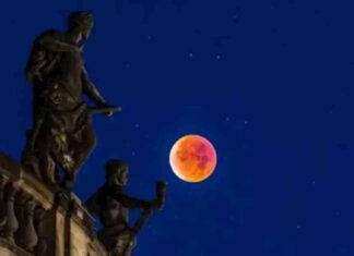 حقائق وأساطير جنون الحيوانات والمستذئبين ترتبط بالقمر