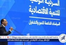 السردية الوطنية للتنمية الاقتصادية: دور القطاع الخاص في النمو الاقتصادي