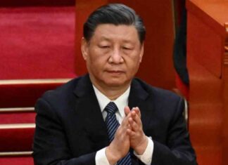 دعم شينا لسيادة مصر وزيادة التعاون الاقتصادي والاستثماري – مصر إندبندنت