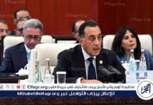 تصريحات رئيس الوزراء في قمة شنغهاي: الحرب الإسرائيلية حرب للتجويع وتصفية القضية الفلسطينية