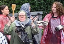 الدبلوماسية المصرية واستخدامها في تحييد المعارضين