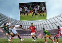 تأهل مصر والجزائر ومعجزة ليبيا والسودان لكأس العالم