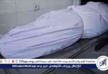 مقتل شاب بسلاح أبيض في مشاجرة بشبرا الخيمة