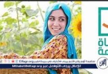 تحليل: تعزيز الخدمات وتطوير البنية التحتية في حياة كريمة