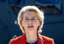 تعرضت طائرة تقل القائد الأعلى للاتحاد الأوروبي لعمليات التشويش على نظام تحديد المواقع الروسي المزعومة – مصر اليوم