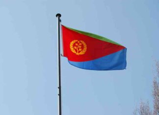 مصر تقدم مساعدات طبية لإريتريا – مصر المستقلة