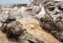 هجوم بق وحشرات غامضة على جنود الاحتلال في غزة – صور