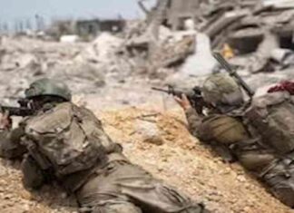 هجوم بق وحشرات غامضة على جنود الاحتلال في غزة – صور