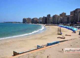 تم العثور على تمساح على شاطئ الإسكندرية – مصر المستقلة