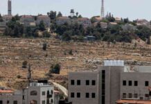 وقف التعامل مع المستوطنات الإسرائيلية: دعوة منظمات لذلك