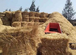 تخفيض رسوم مواقع تجميع قش الأرز: مطالبة رئيس تنظيم المخلفات