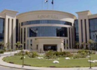 فصل شرطي بالقاهرة بسبب تجاوزات سلوكية: الداخلية توضح – اليوم السابع