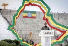 تأثير الحسابات على فرص توسط الصين في أزمة سد النهضة