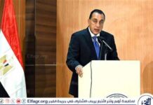 تعاون مصر وروسيا في مشروعات الطاقة والتنمية والاستعداد لمنتدى روسيا – إفريقيا