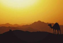 زيادة درجات الحرارة في مصر يوم الثلاثاء – مصر المستقلة