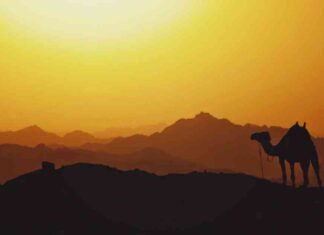 زيادة درجات الحرارة في مصر يوم الثلاثاء – مصر المستقلة