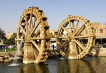 شبين القناطر: جمال التاريخ والطبيعة في قلب مصر