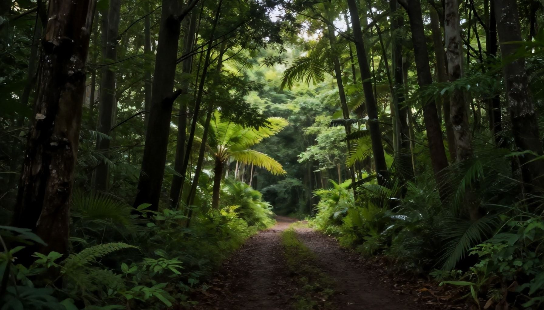 كيف تخلق صور بزاز فنية تبرز جمال الطبيعة؟*
