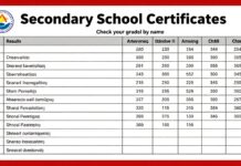 نتائج الثانوية العامة بالاسم: تحقق من درجاتك بسهولة