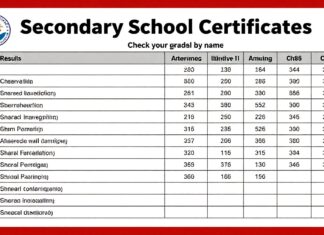 نتائج الثانوية العامة بالاسم: تحقق من درجاتك بسهولة