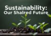 الاستدامة: مستقبلنا المشترك Sustainability: Our Shared Future
