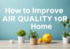 كيفية تحسين جودة الهواء في المنزل How to Improve Air Quality at Home